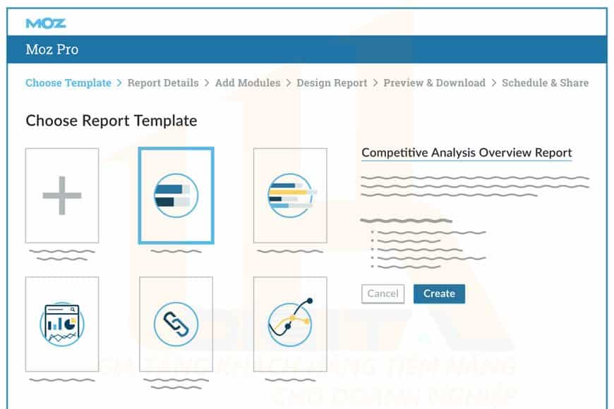 Custom Reports