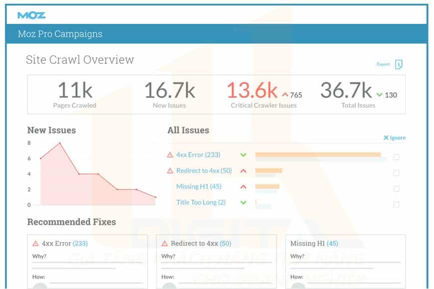 Site Crawl
