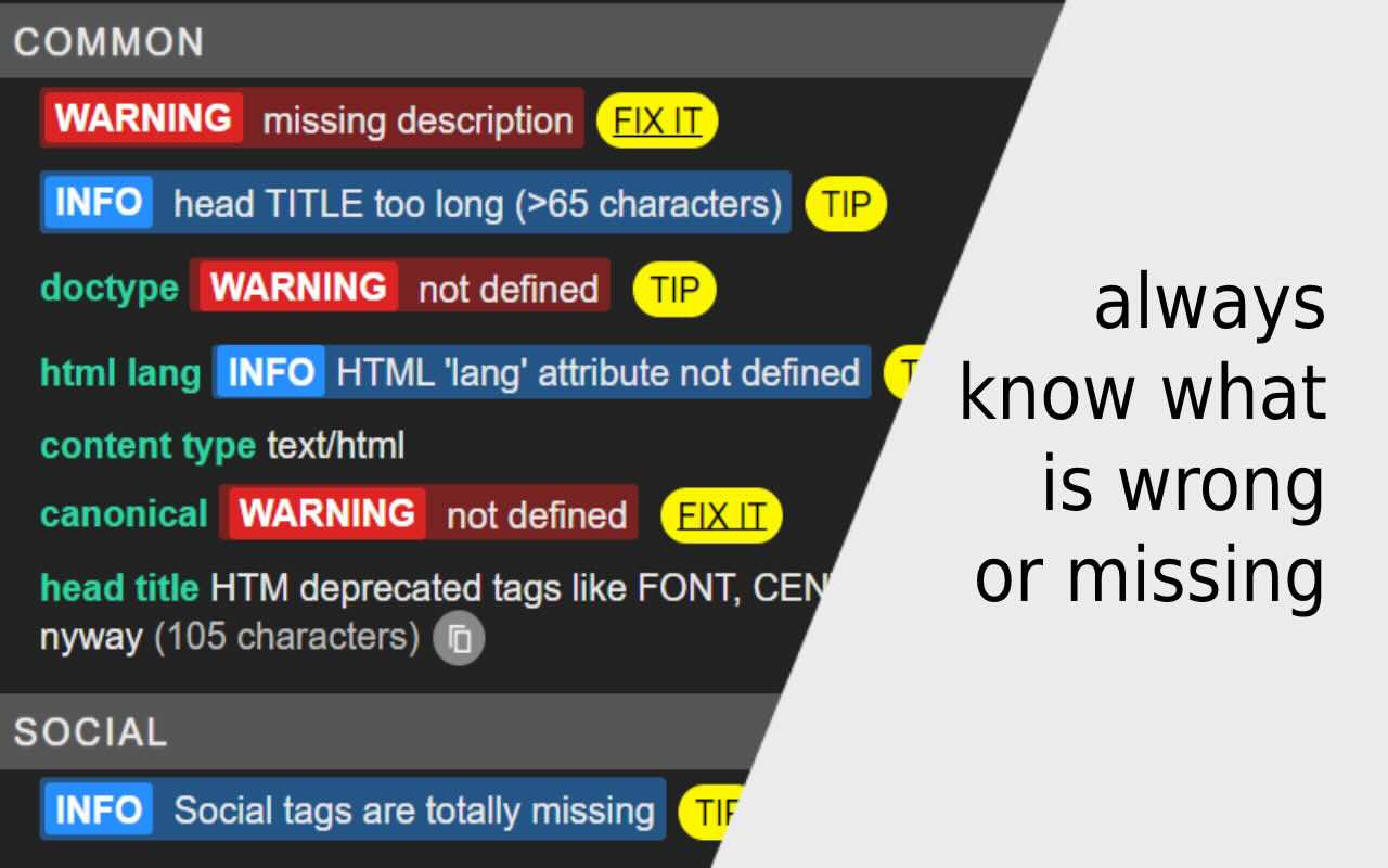 Meta SEO Inspector có những tính năng gì?