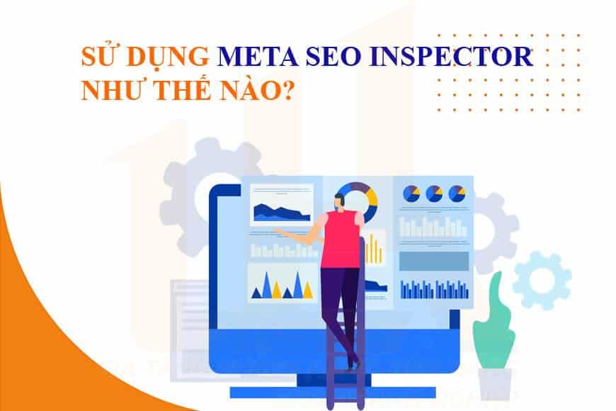 Sử dụng Meta SEO Inspector như thế nào?