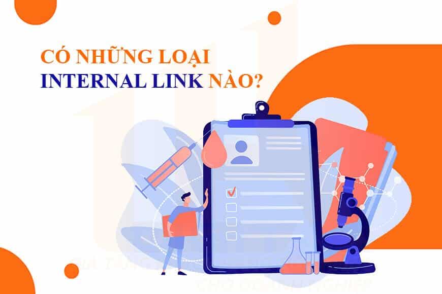 Có những loại Internal Link nào?