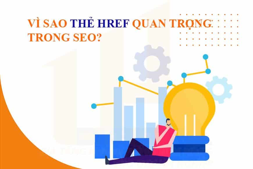Vì sao thẻ href lại quan trọng trong SEO?